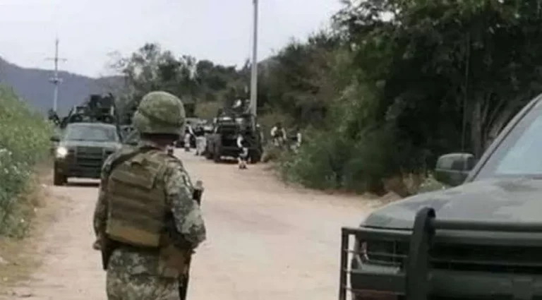 WhatsApp-Image-2025-07-27-at-1.02.56-PM