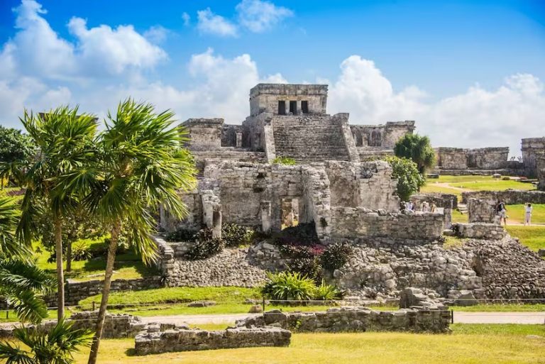 WhatsApp Image 2025-07-30 at 8.13.07 PM