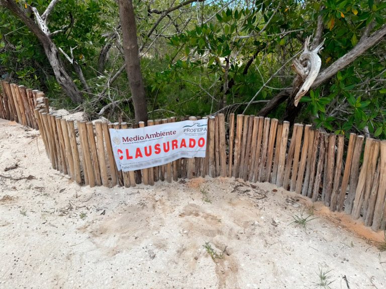 clausurasprofepaholbox