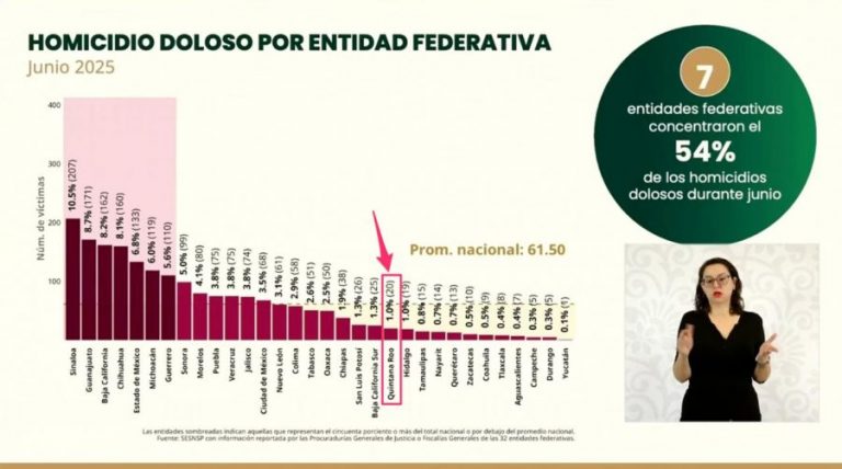 grafica-e1751986793652