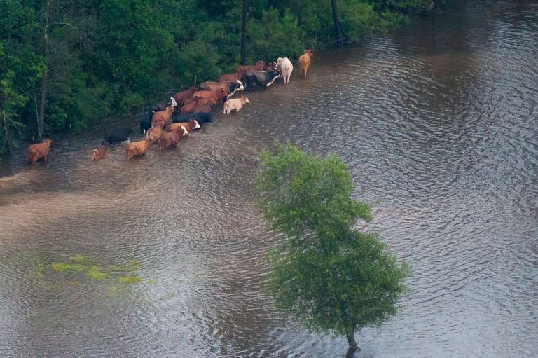 hurricane-harvey-flooding-in-port-arthur-texas-august-27385d-1024