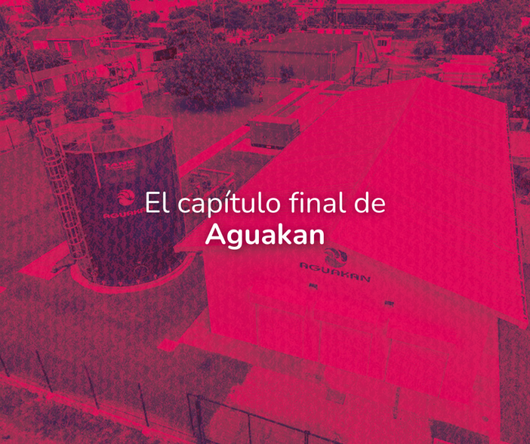 ¡Cuidado en el mar! Rayas y mantarrayas causan lesiones en playas de Cancún (11)