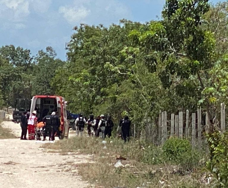 528360046_1670701027210115_2997185696712422860_n