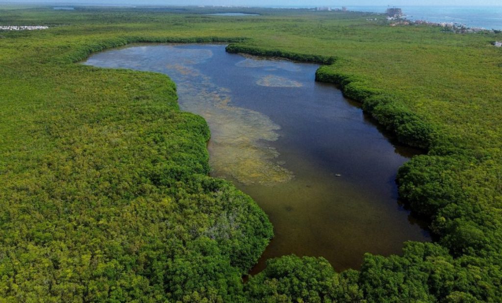 Imagen-de-WhatsApp-2025-06-21-a-las-16.42.59_68a293d4-1160x700