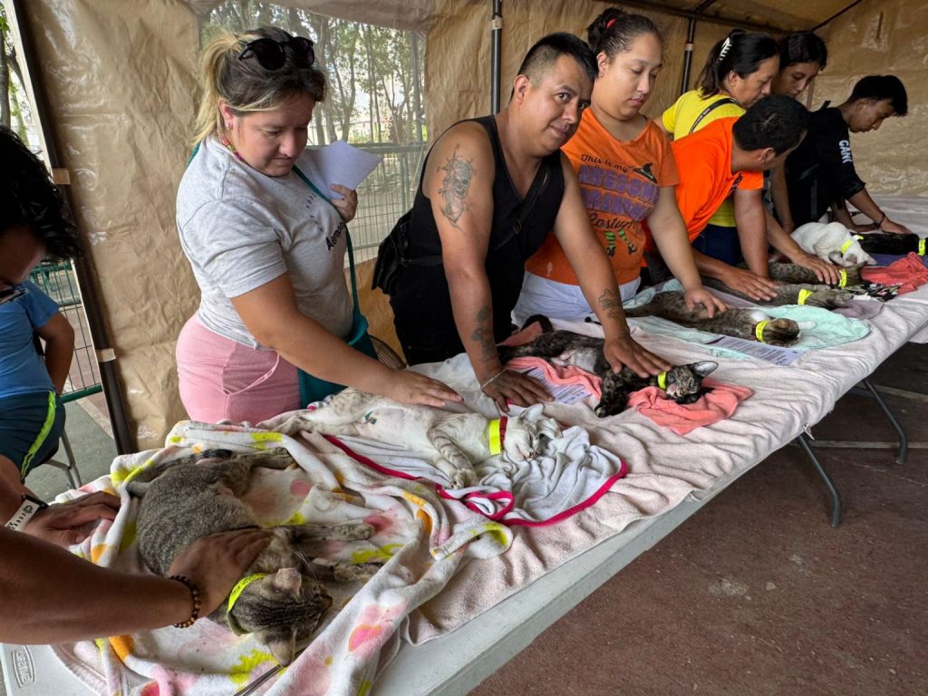 Imagen-de-WhatsApp-2025-08-19-a-las-17.50.10_a226b2d1-1536x1152