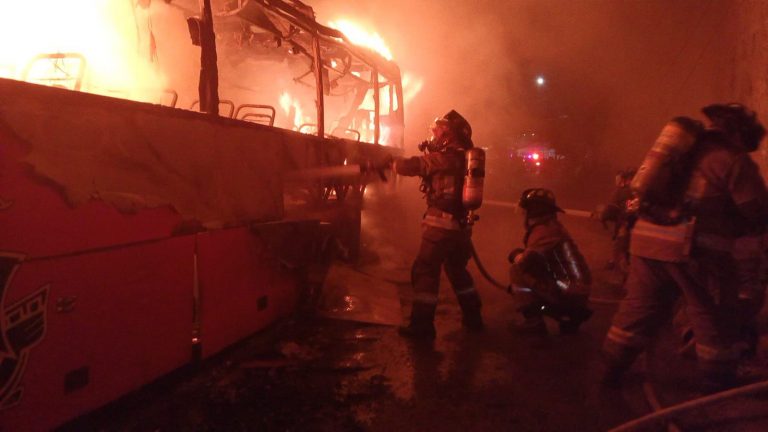 WhatsApp Image 2025-08-28 at 3.26.01 PM(1)