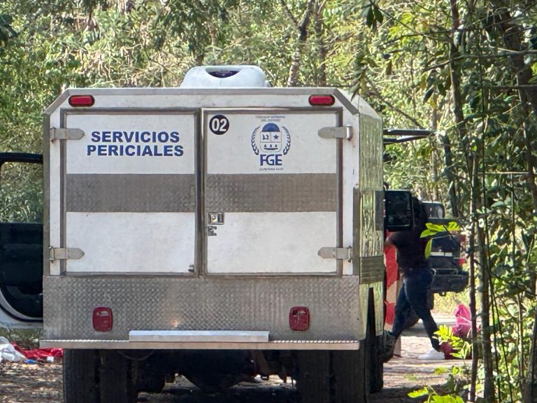 WhatsApp Image 2025-08-28 at 8.47.37 PM (1)