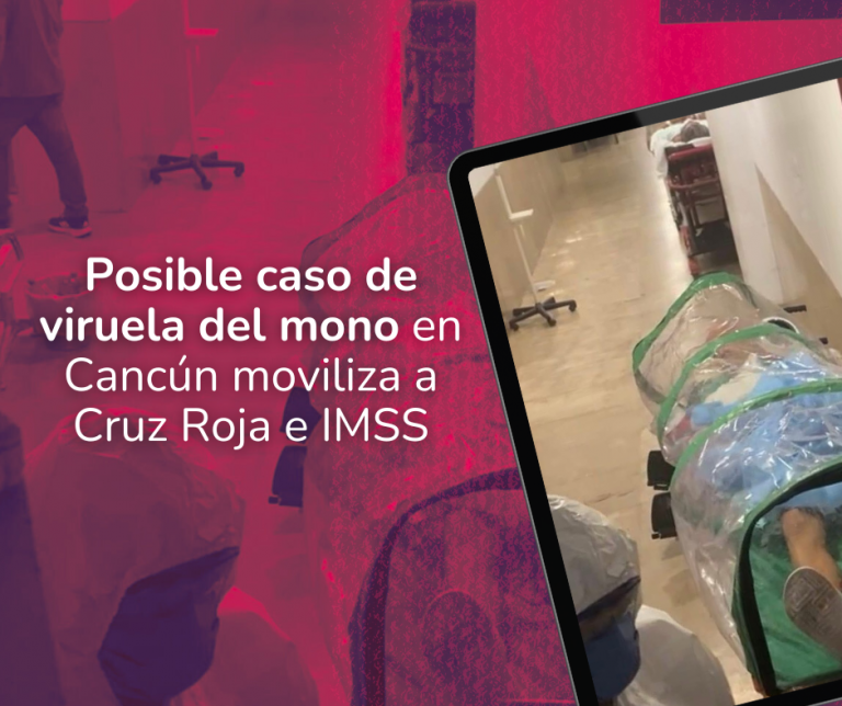 ¡Cuidado en el mar! Rayas y mantarrayas causan lesiones en playas de Cancún (21)