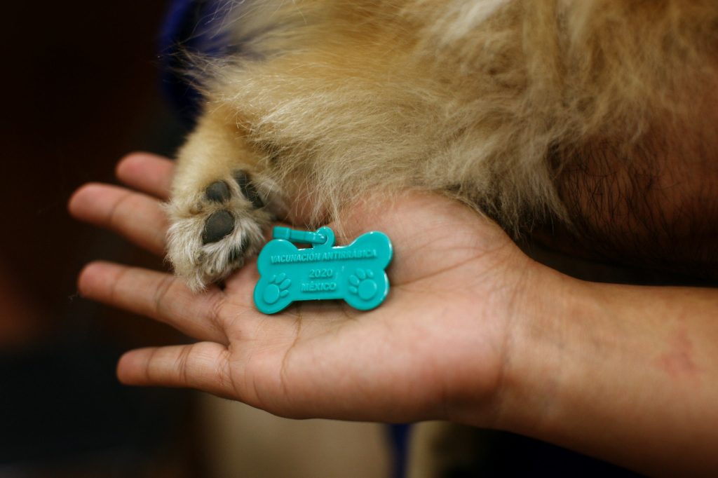 50372377392_75cf7eaf7b_k