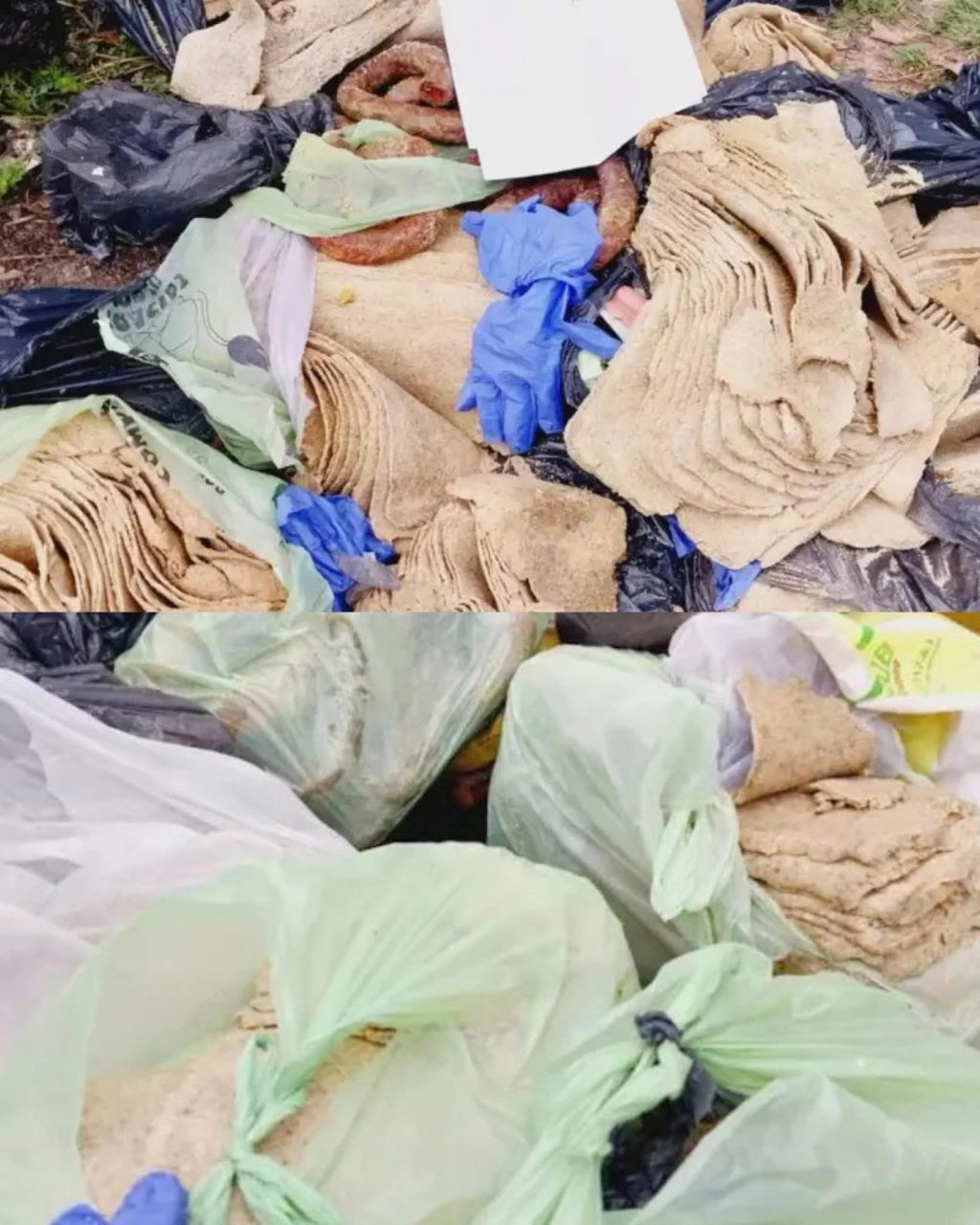 545625584_122138602886864566_5884229144005778299_n