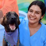 El Gobierno de Isla Mujeres impulsa la adopción de perros rescatados en el Centro de Bienestar Animal, ofreciendo atención médica y cuidados mientras esperan un hogar.