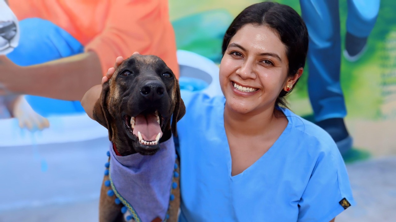 El Gobierno de Isla Mujeres impulsa la adopción de perros rescatados en el Centro de Bienestar Animal, ofreciendo atención médica y cuidados mientras esperan un hogar.