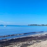 Un cocodrilo apareció cerca de la orilla en Punta Esmeralda, causando sorpresa entre los bañistas. Autoridades recuerdan mantener la distancia y reportar avistamientos.