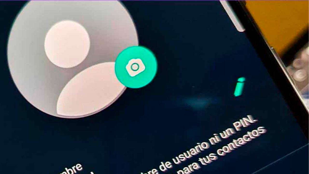 Aprende a ocultar tu foto de perfil en WhatsApp y proteger tu privacidad.