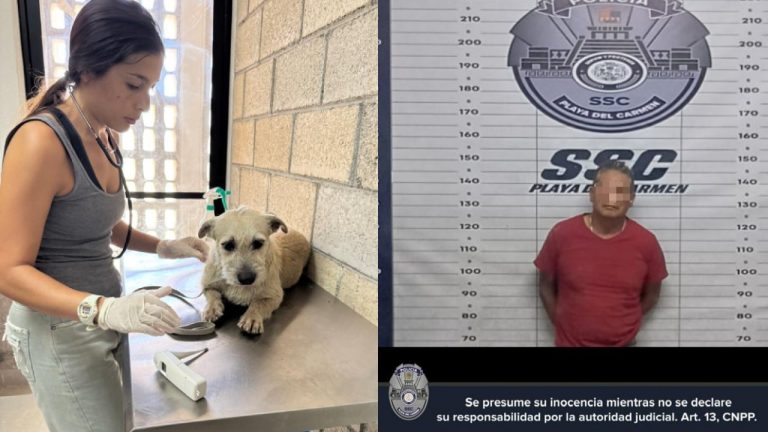 Detienen a hombre acusado de abuso contra perrita en Playa del Carmen
