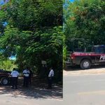 Policías y peritos acordonaron la zona y trasladaron los cuerpos al Semefo, donde se determinará la causa de muerte.