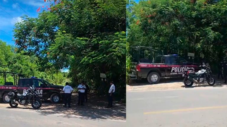 Policías y peritos acordonaron la zona y trasladaron los cuerpos al Semefo, donde se determinará la causa de muerte.