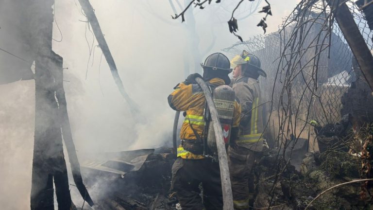 Fuego consume predio y palapa en la Supermanzana 227 de Cancún