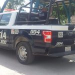 En José María Morelos, un perro recibió una herida de 20 cm en el cuello luego de ser atacado con un machete