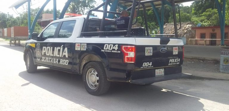 En José María Morelos, un perro recibió una herida de 20 cm en el cuello luego de ser atacado con un machete