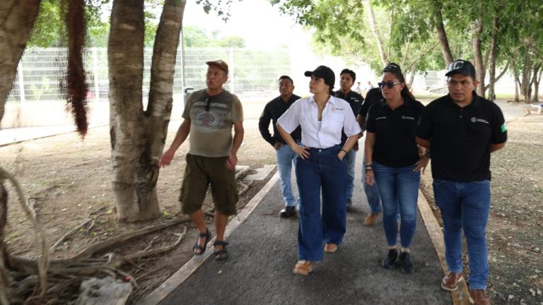 La presidenta municipal Estefanía Mercado supervisa los trabajos de sustitución de más de 5 mil luminarias en la ciudad.