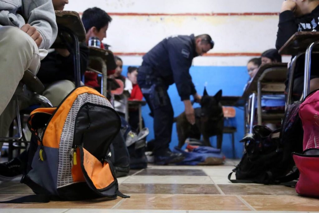 WhatsApp Image 2025-09-01 at 2.58.13 PM