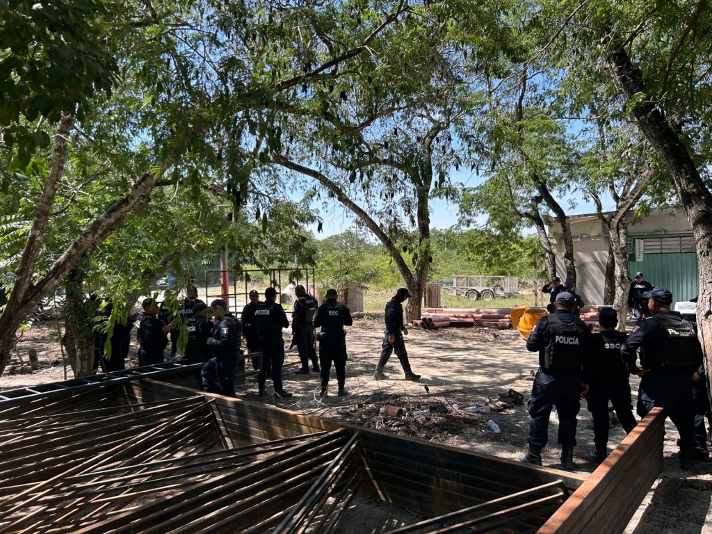 WhatsApp Image 2025-09-02 at 2.26.56 PM