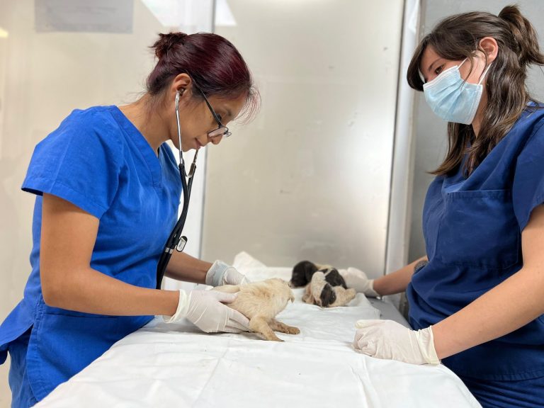 WhatsApp Image 2025-09-03 at 12.12.37 PM(1)