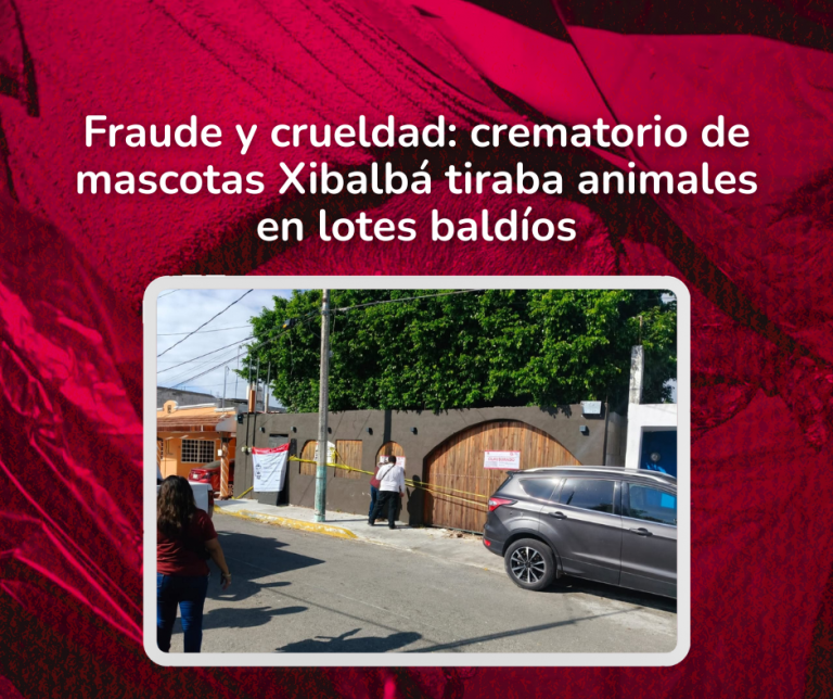 Post Redes Sociales (4)