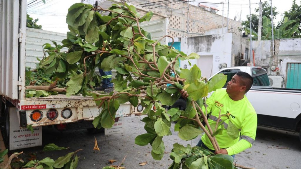 El Ayuntamiento de Isla Mujeres activó el Operativo Tormenta ante el pronóstico de lluvias intensas del 6 al 8 de octubre.