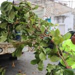 El Ayuntamiento de Isla Mujeres activó el Operativo Tormenta ante el pronóstico de lluvias intensas del 6 al 8 de octubre.