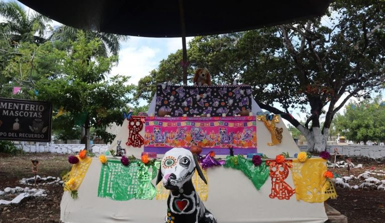 WhatsApp Image 2025-10-30 at 11.00.44 AM