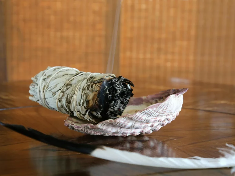 pexels-courtney-kolander-894780245-26866441