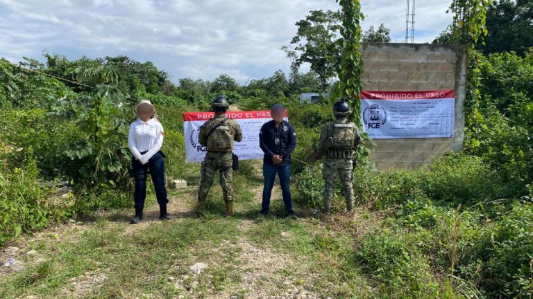 Autoridades constataron que más de 30 mil m² fueron chapeados y rellenados pese a que el proyecto carece de autorizaciones municipales y estatales.