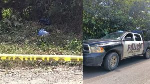 Un feto fue encontrado por un hombre en La Candelaria, José María Morelos, luego de que sus perros empezaran a devorarlo.