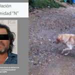 La Fiscalía de Quintana Roo obtuvo la vinculación a proceso de un hombre acusado de atacar con un machete a un perro en la colonia El Milagro.