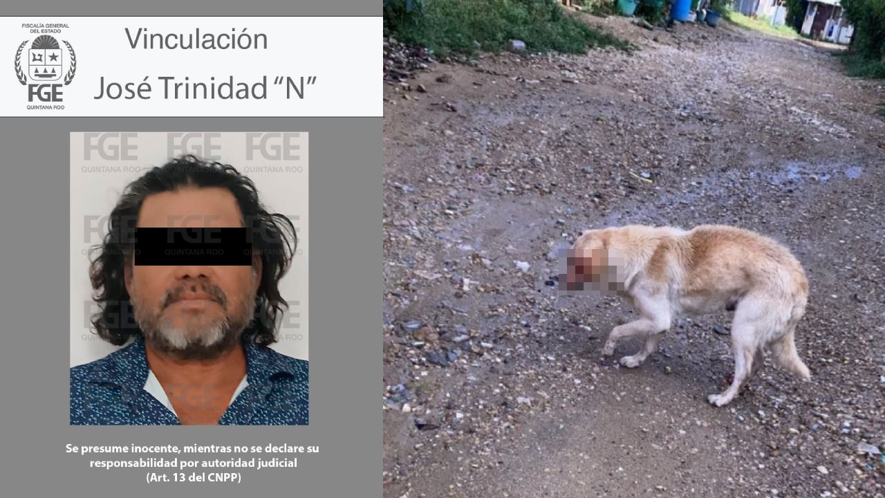 La Fiscalía de Quintana Roo obtuvo la vinculación a proceso de un hombre acusado de atacar con un machete a un perro en la colonia El Milagro.