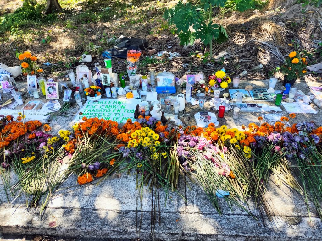 WhatsApp Image 2025-11-06 at 4.07.27 PM