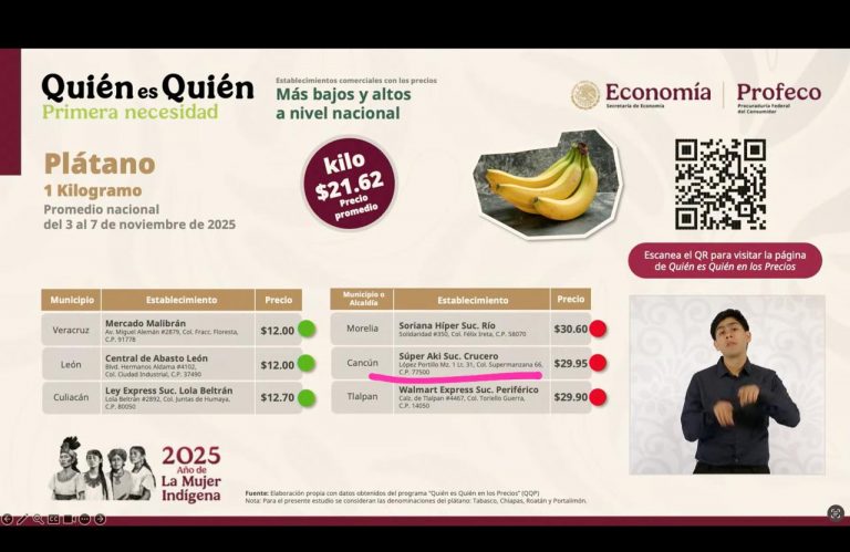 WhatsApp Image 2025-11-17 at 12.26.45 PM