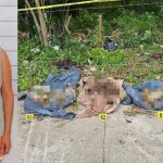 Briseidy “N”, acusada por el fraude del crematorio Xibalbá, obtuvo una suspensión que podría permitirle salir del Cereso de Chetumal.