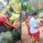 Un cachorro de dos meses fue rescatado por bomberos tras quedar atrapado en un pozo de cinco metros en Cancún.