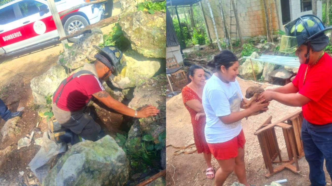 Un cachorro de dos meses fue rescatado por bomberos tras quedar atrapado en un pozo de cinco metros en Cancún.