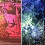 Un turista francés falleció y tres personas resultaron lesionadas tras un choque registrado cerca del hotel Sirenis, en la carretera federal 307.