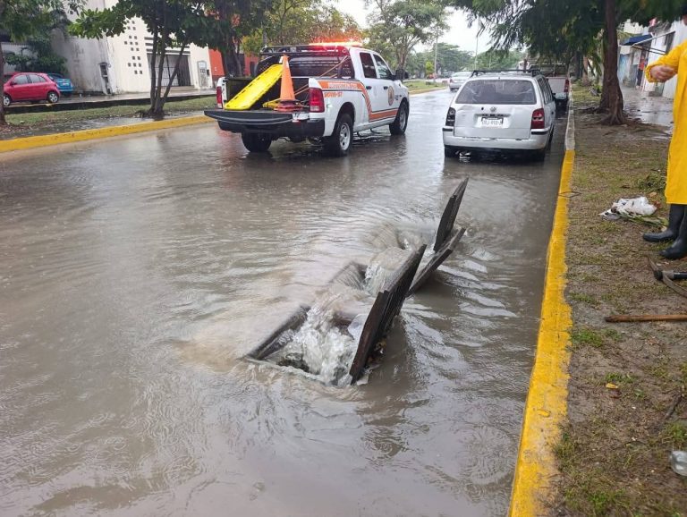 WhatsApp Image 2025-12-19 at 1.56.08 PM