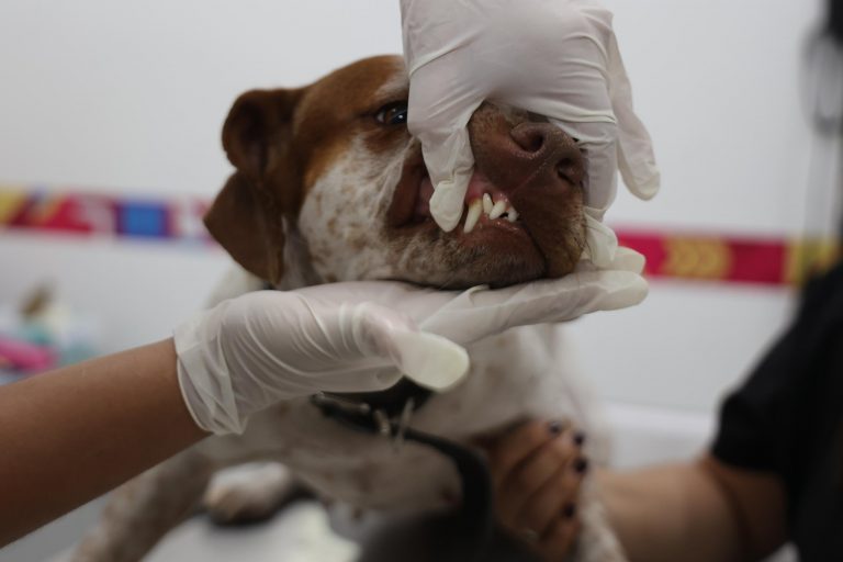 617139266_907612348447405_1944988507262765910_n