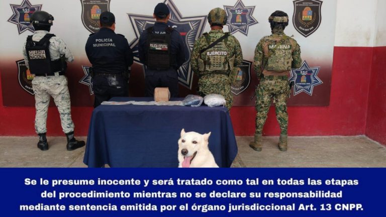 Durante un operativo en la terminal de Othón P. Blanco, autoridades decomisaron una mochila con presuntos narcóticos.