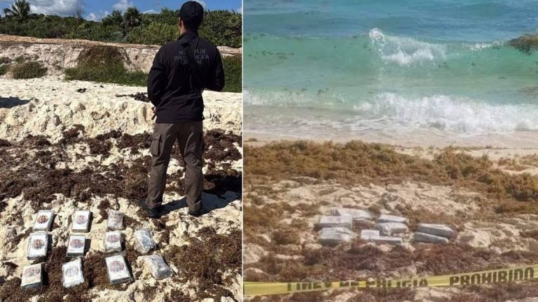 Autoridades federales aseguraron 11 paquetes de cocaína que flotaban frente a la costa de Playa del Carmen, durante un operativo de vigilancia marítima.