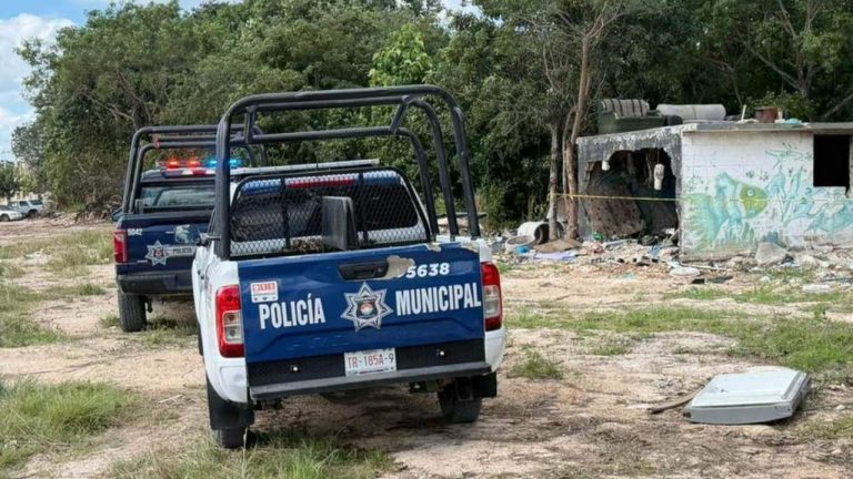 Policía y Fiscalía investigan hallazgo de huesos humanos junto a construcción abandonada en Cancún.