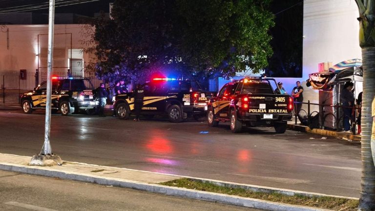 WhatsApp Image 2026-01-06 at 2.01.18 PM