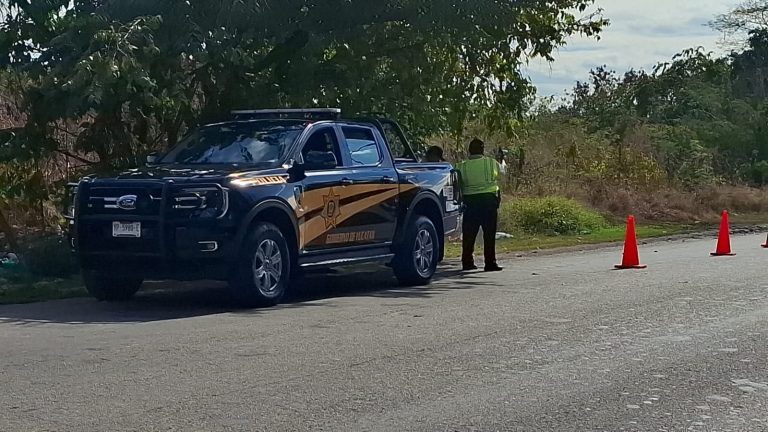 WhatsApp Image 2026-01-08 at 5.29.41 PM